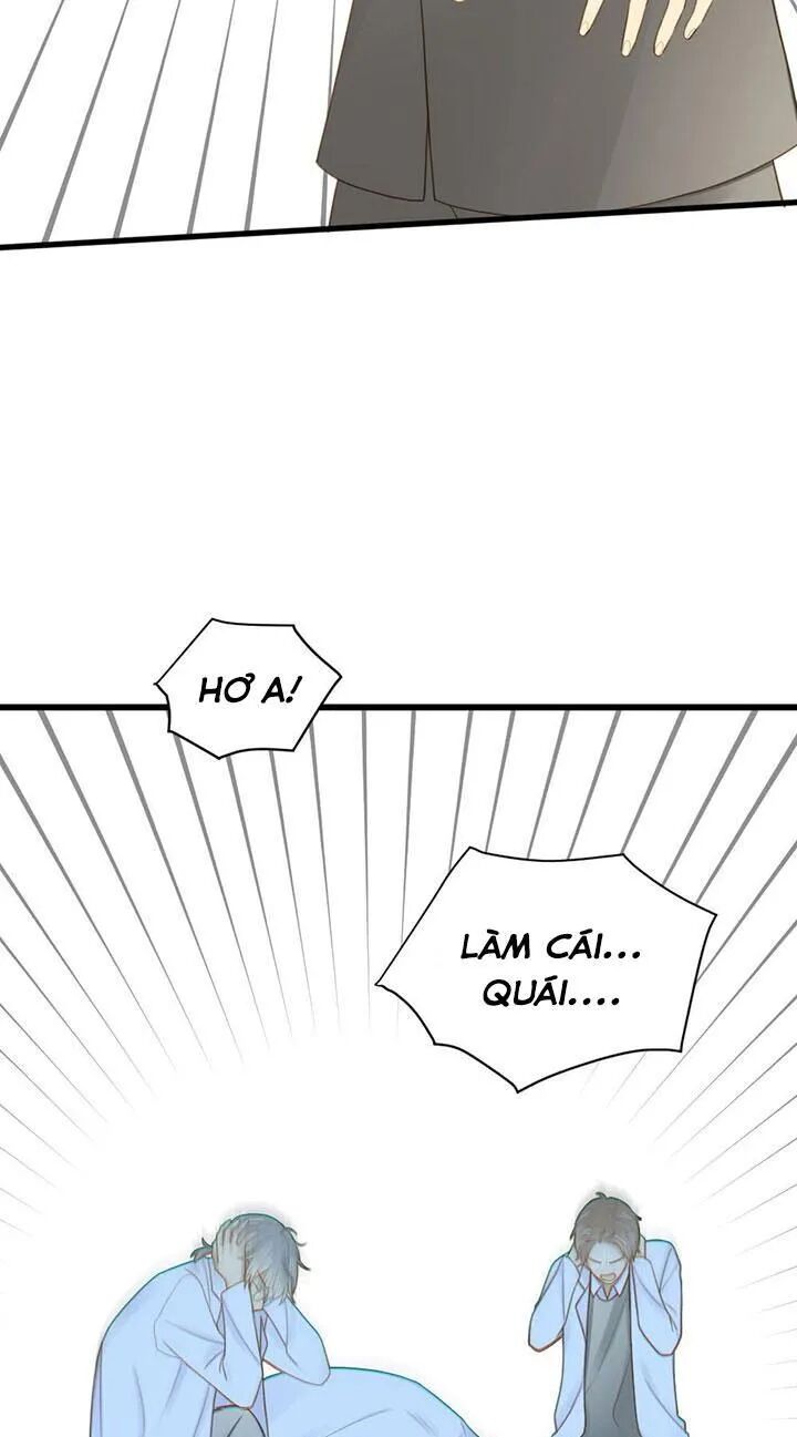 Sinh Hạ Long Chủng: Chapter 105: Quá khứ của Kim Long