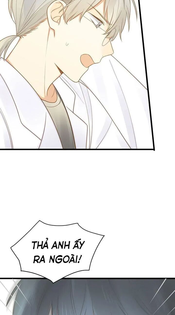 Sinh Hạ Long Chủng: Chapter 105: Quá khứ của Kim Long