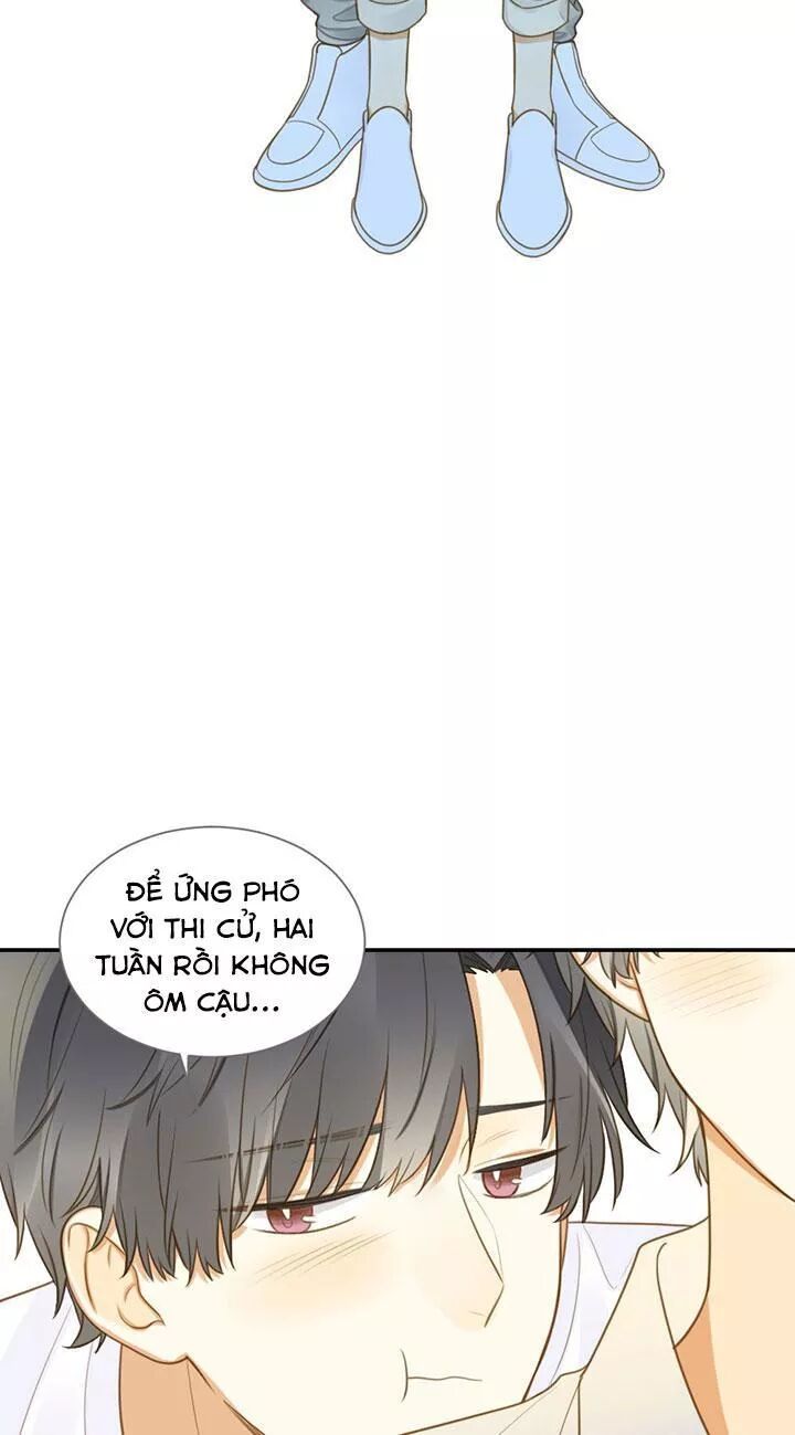 Sinh Hạ Long Chủng: Chapter 116: Tiểu Phàm, mùa hè và tôi
