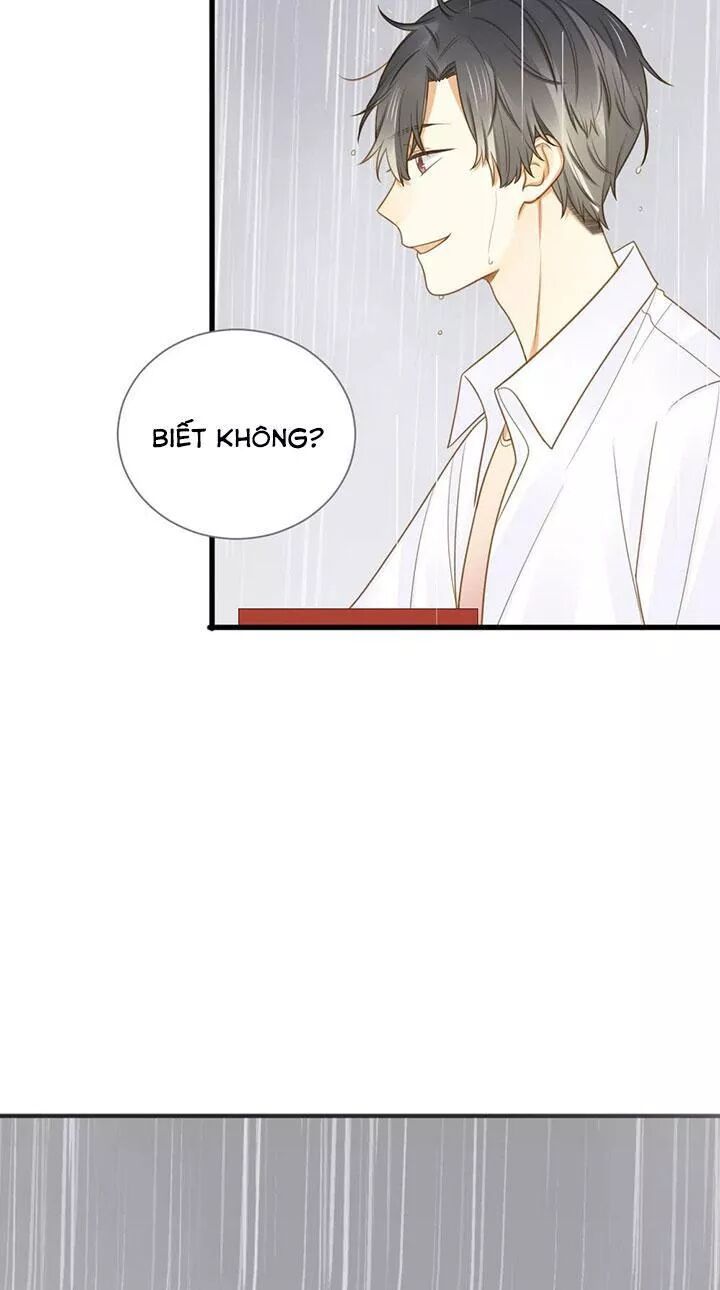 Sinh Hạ Long Chủng: Chapter 118: Anh trai đến rồi