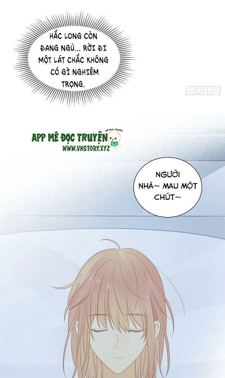 Sinh Hạ Long Chủng: Chapter 173