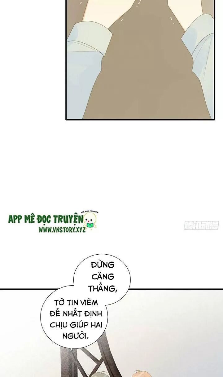 Sinh Hạ Long Chủng: Chapter 183: - Không phải là thần long nữa