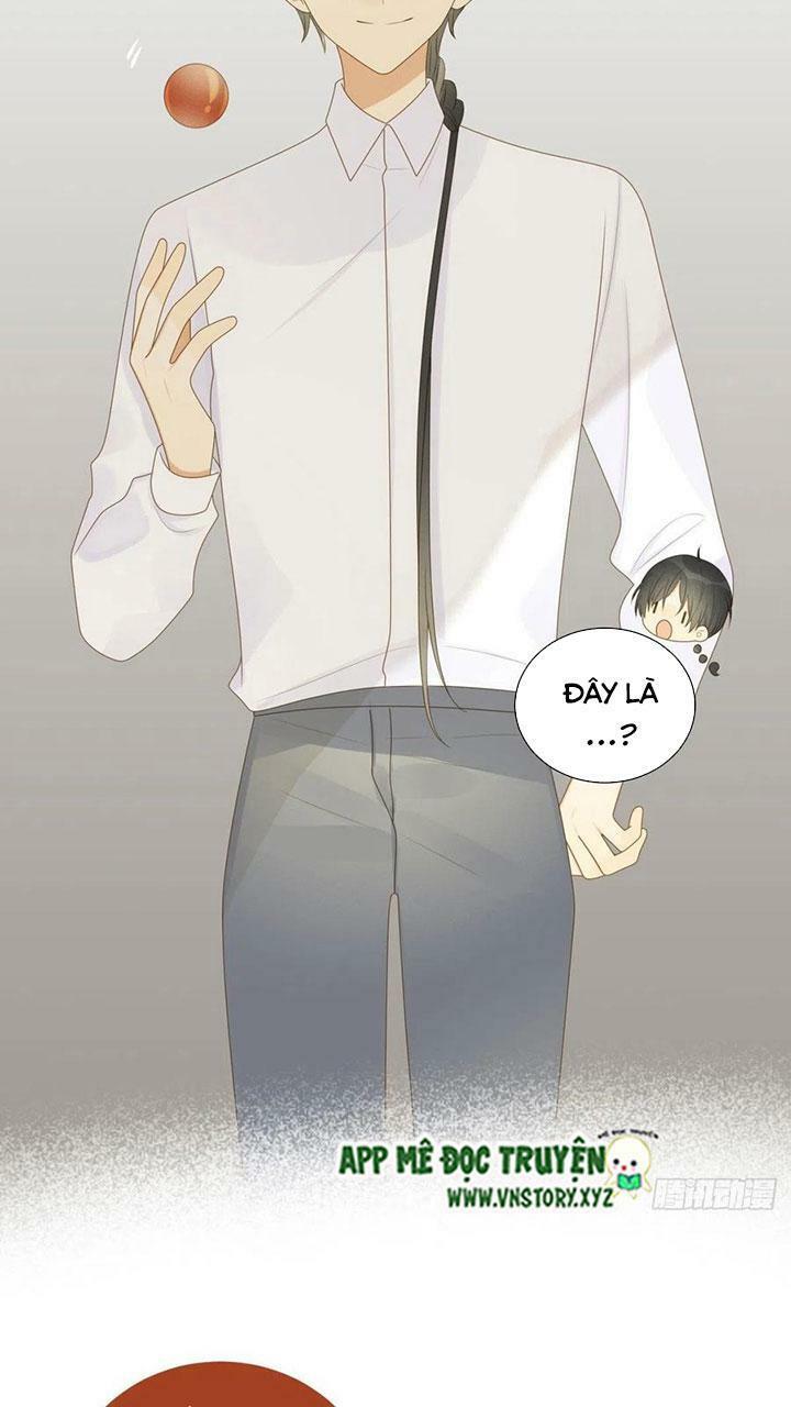 Sinh Hạ Long Chủng: Chapter 187