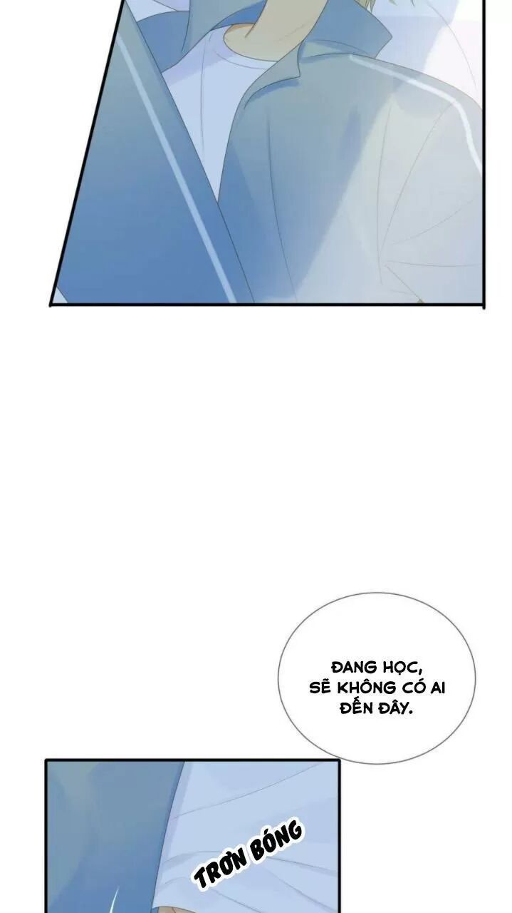 Sinh Hạ Long Chủng: Chapter 198