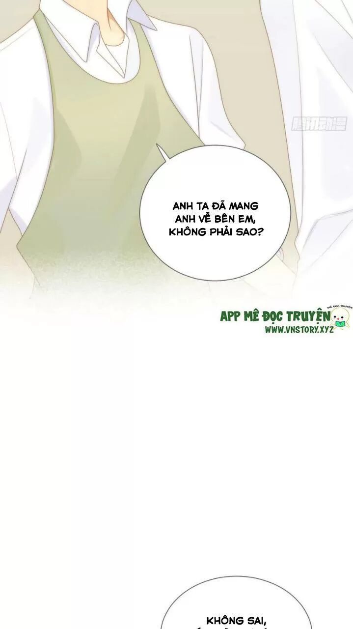Sinh Hạ Long Chủng: Chapter 201: Cuộc sống êm đềm sau khi cưới