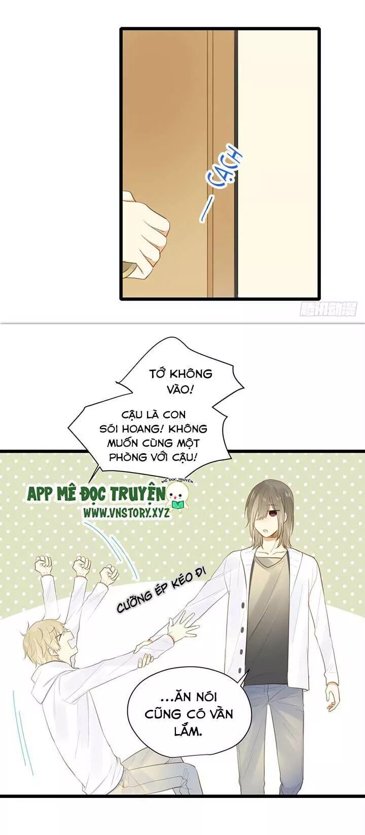 Sinh Hạ Long Chủng: Chapter 39: Đêm trước khi đi (1)