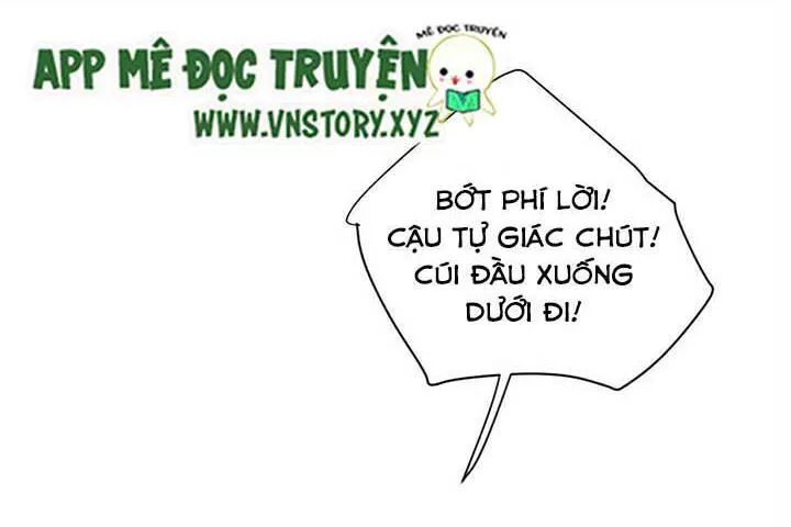 Sinh Hạ Long Chủng: Chapter 39: Đêm trước khi đi (1)