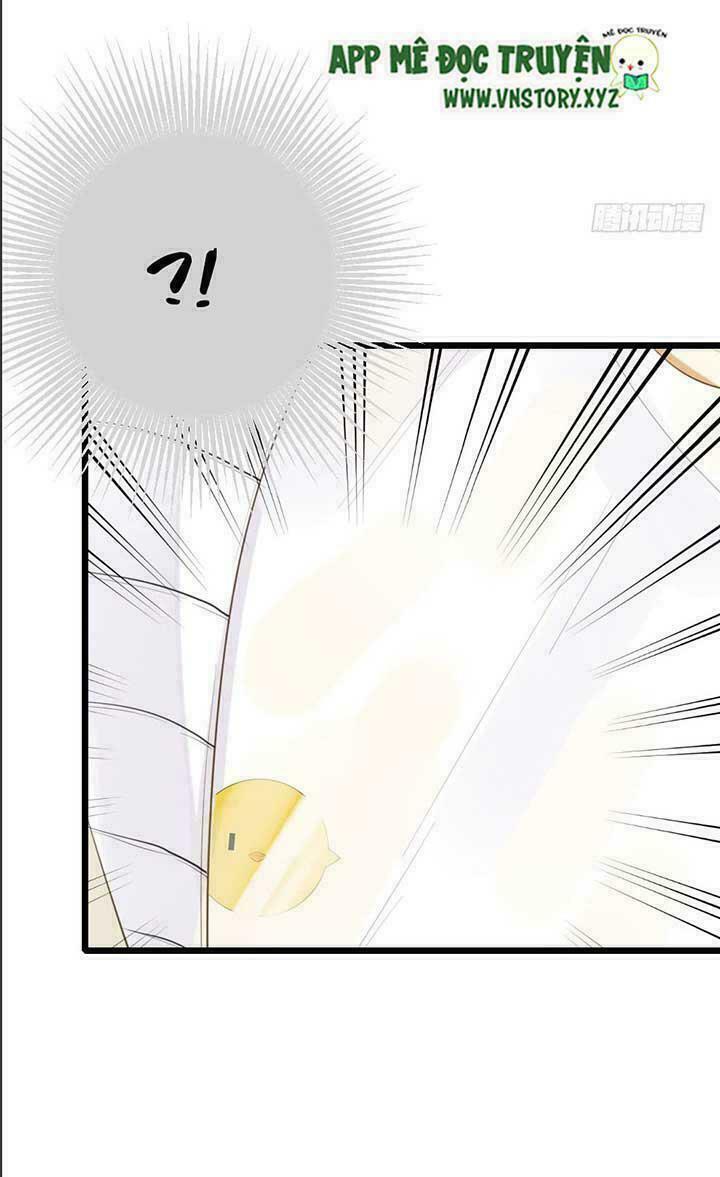 Sinh Hạ Long Chủng: Chapter 40: Đêm trước khi đi (2)