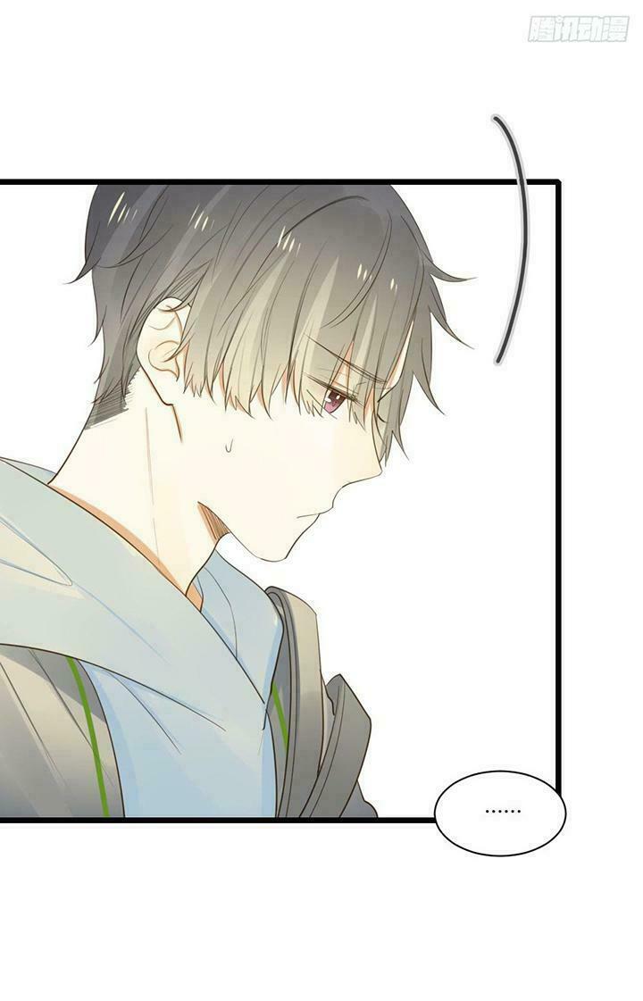 Sinh Hạ Long Chủng: Chapter 53: Tứ long tập hợp