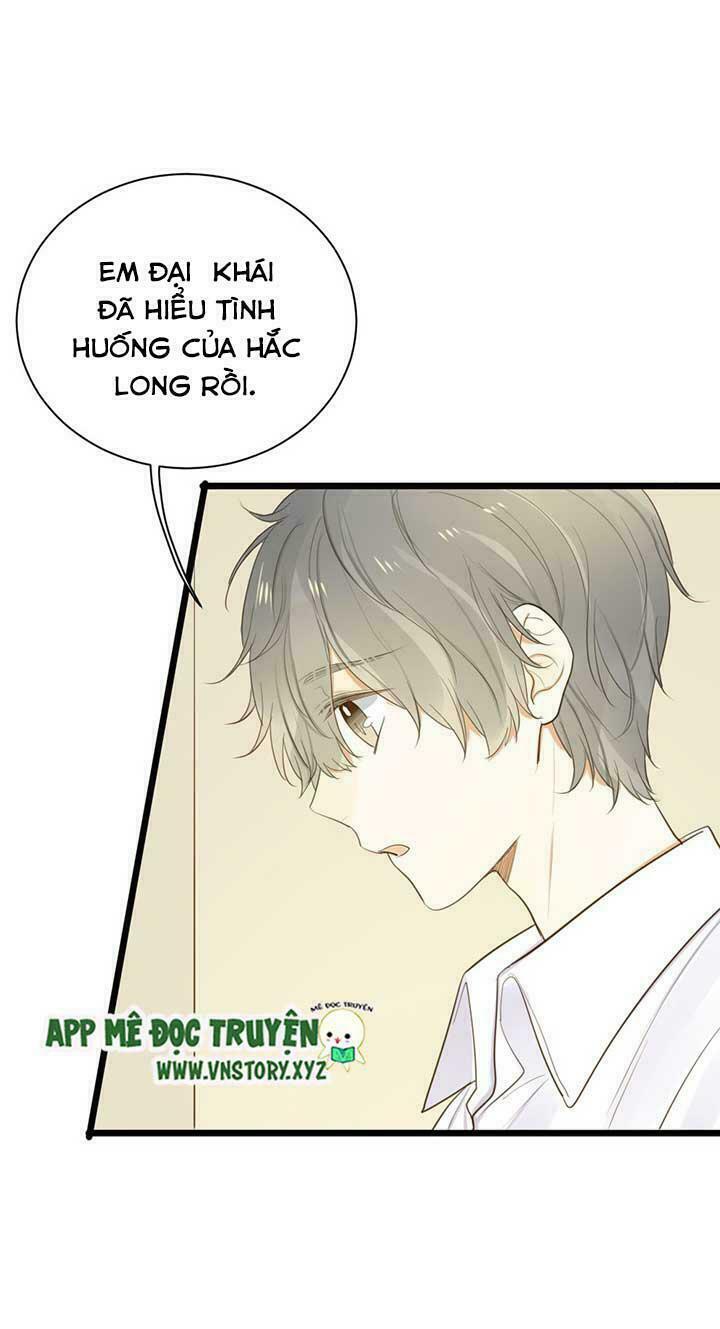 Sinh Hạ Long Chủng: Chapter 53: Tứ long tập hợp