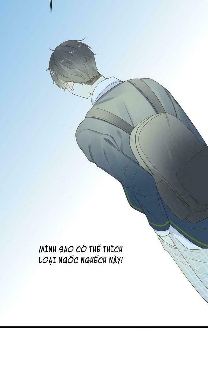 Sinh Hạ Long Chủng: Chapter 62: Có thể ở lại không