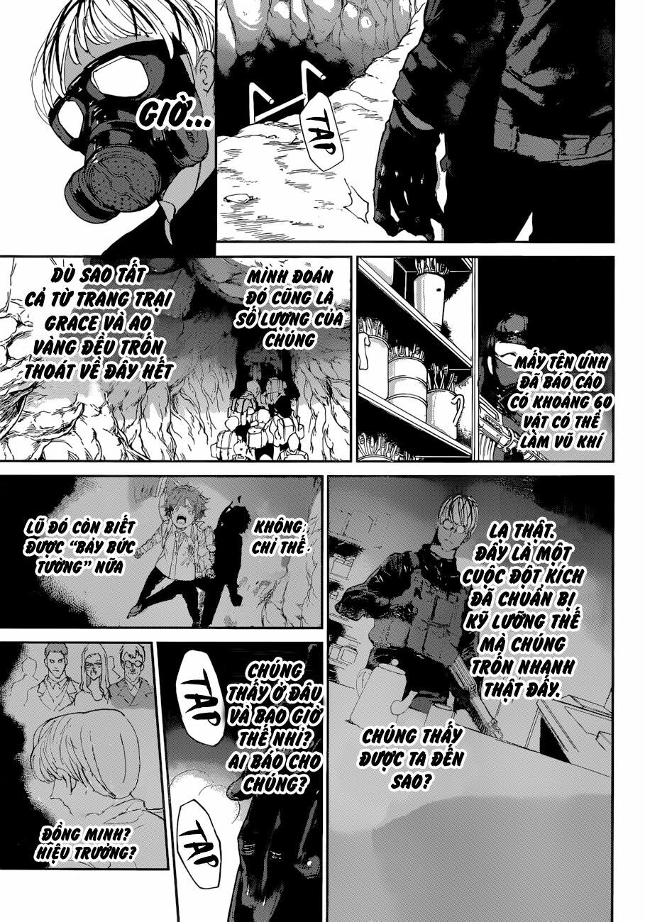 Miền Đất Hứa: Chapter 106