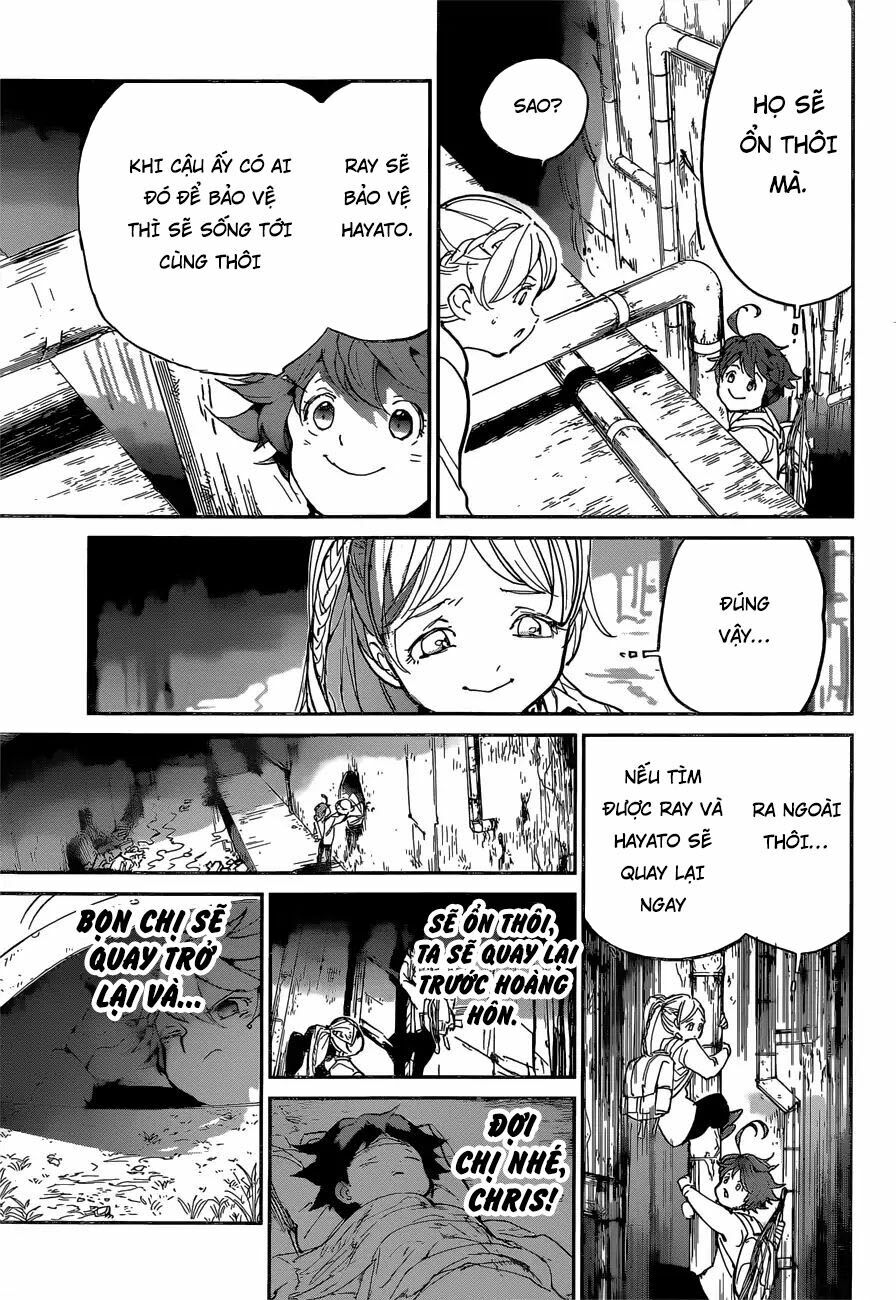 Miền Đất Hứa: Chapter 117