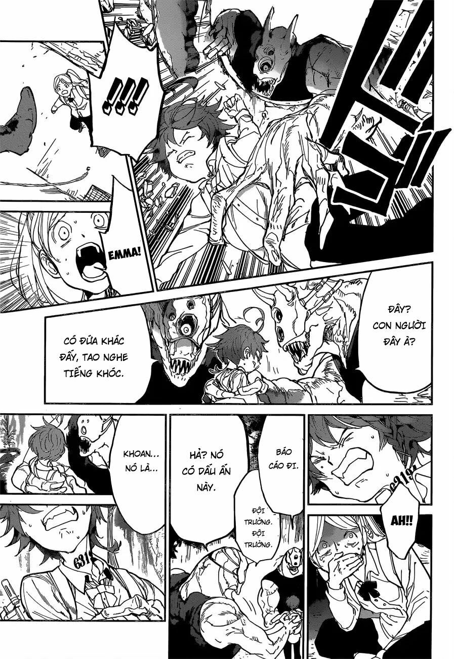 Miền Đất Hứa: Chapter 117