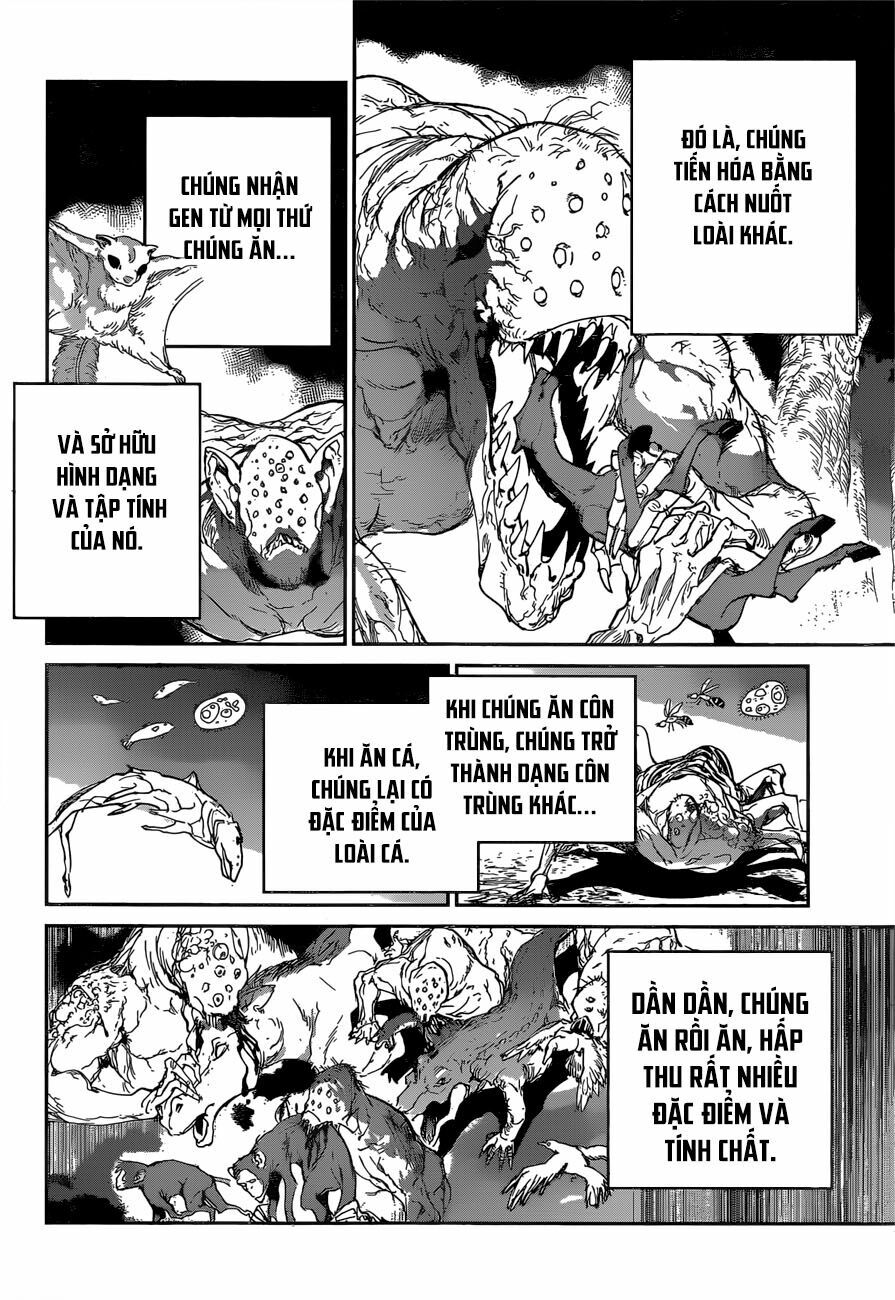 Miền Đất Hứa: Chapter 120