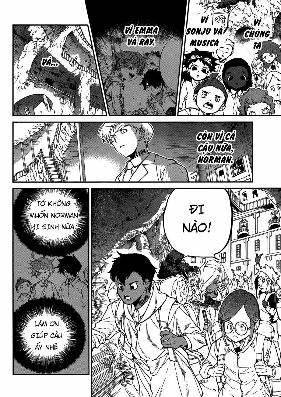 Miền Đất Hứa: Chapter 135