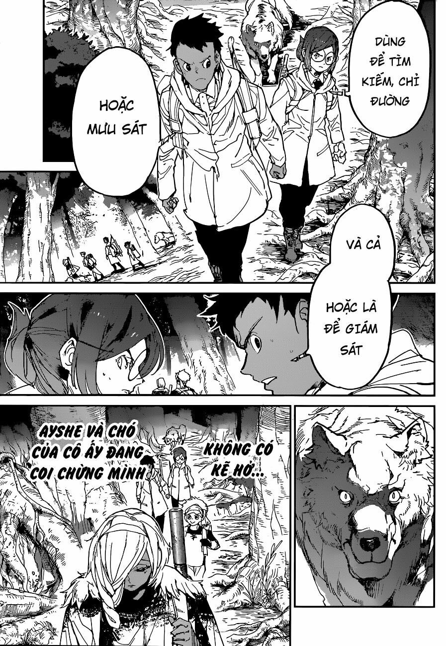 Miền Đất Hứa: Chapter 138
