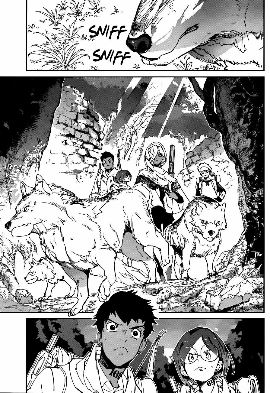 Miền Đất Hứa: Chapter 138