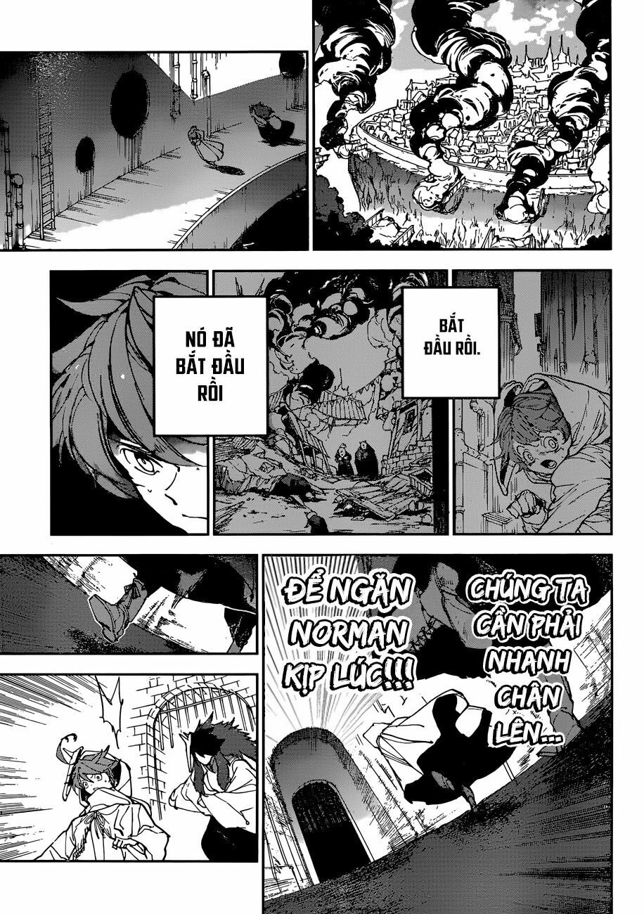 Miền Đất Hứa: Chapter 149