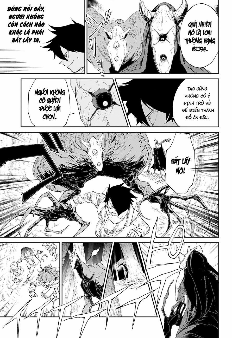 Miền Đất Hứa: Chapter 43