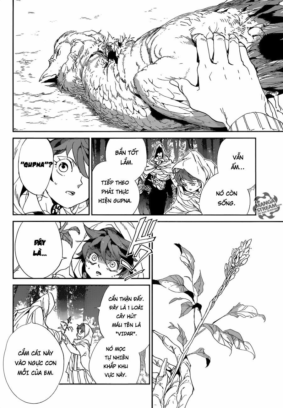 Miền Đất Hứa: Chapter 49