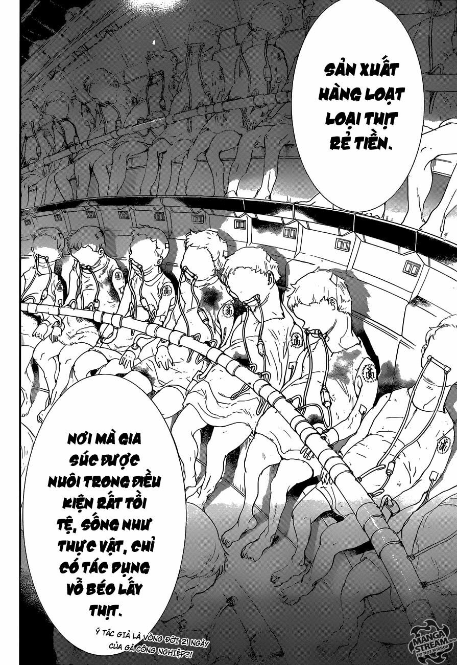 Miền Đất Hứa: Chapter 50