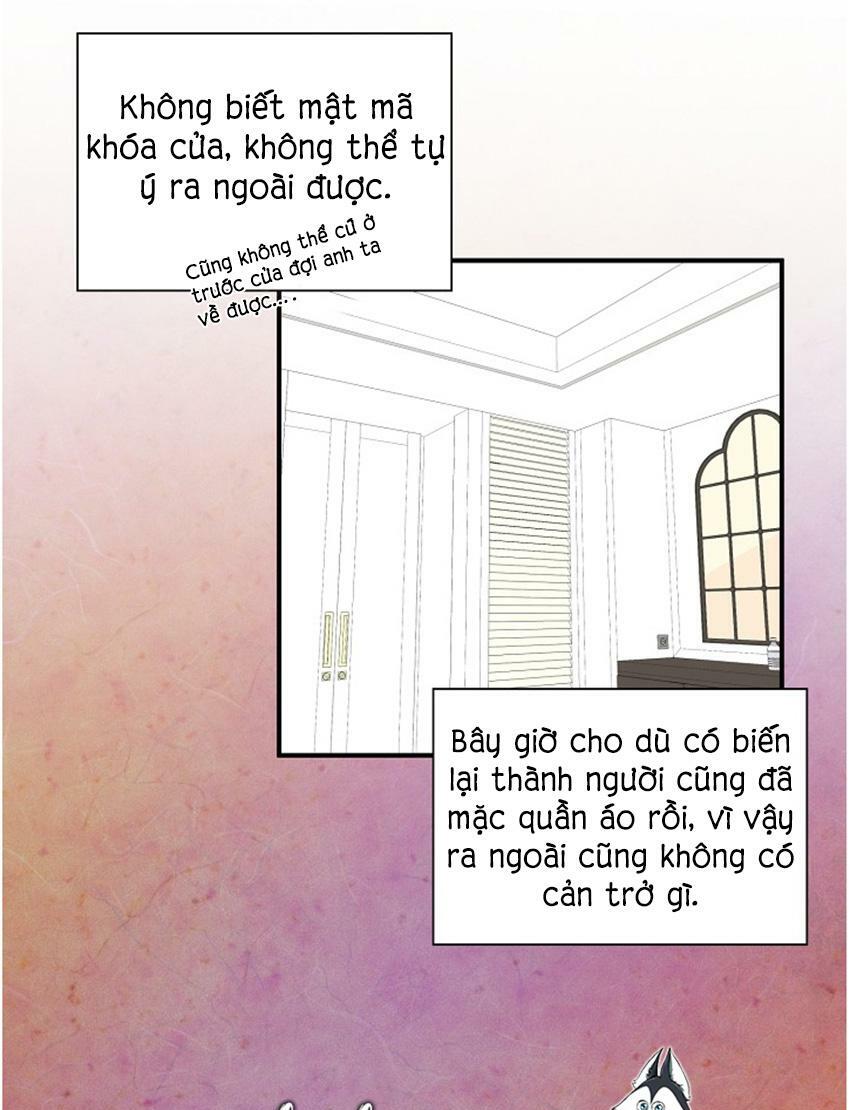 Cuộc sống kỳ thú: Chapter 17