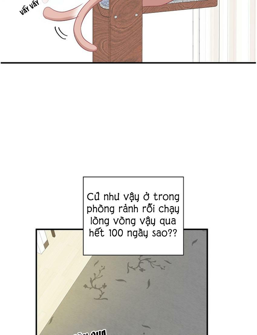 Cuộc sống kỳ thú: Chapter 17