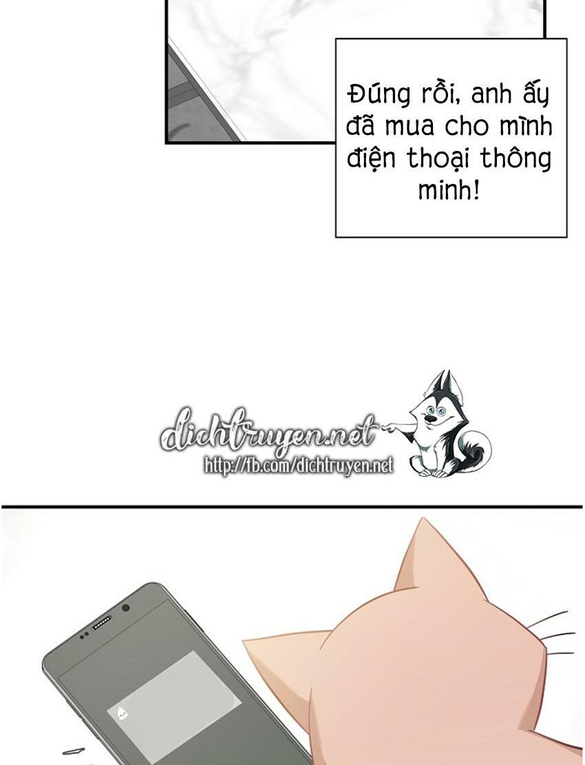 Cuộc sống kỳ thú: Chapter 17