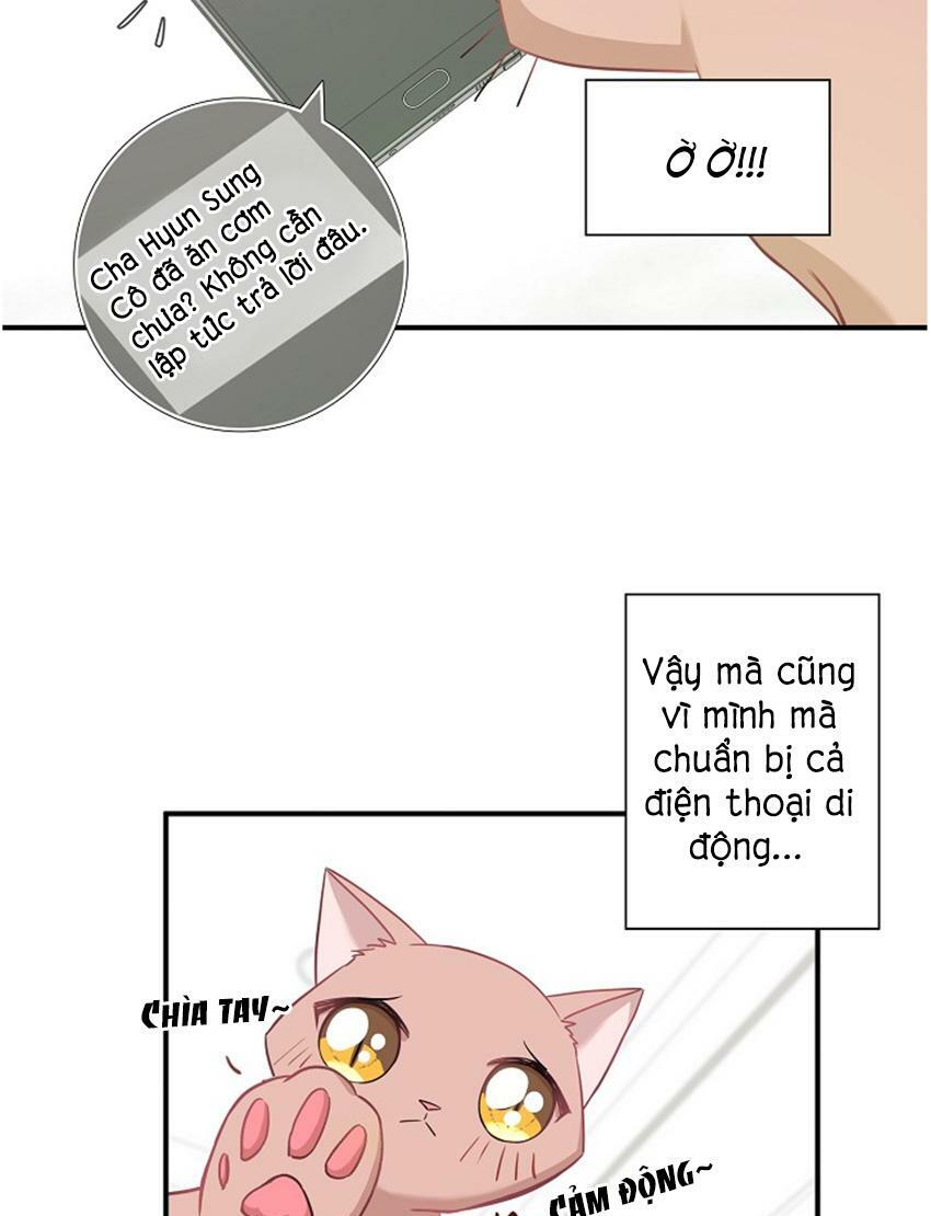 Cuộc sống kỳ thú: Chapter 17