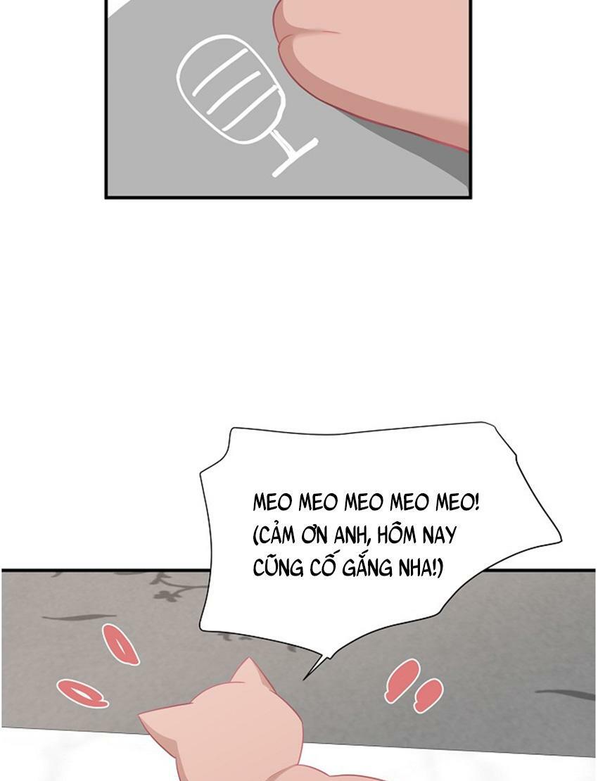 Cuộc sống kỳ thú: Chapter 17