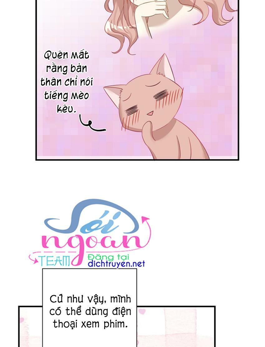 Cuộc sống kỳ thú: Chapter 17