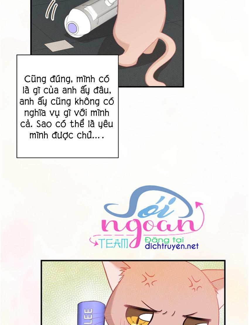 Cuộc sống kỳ thú: Chapter 17
