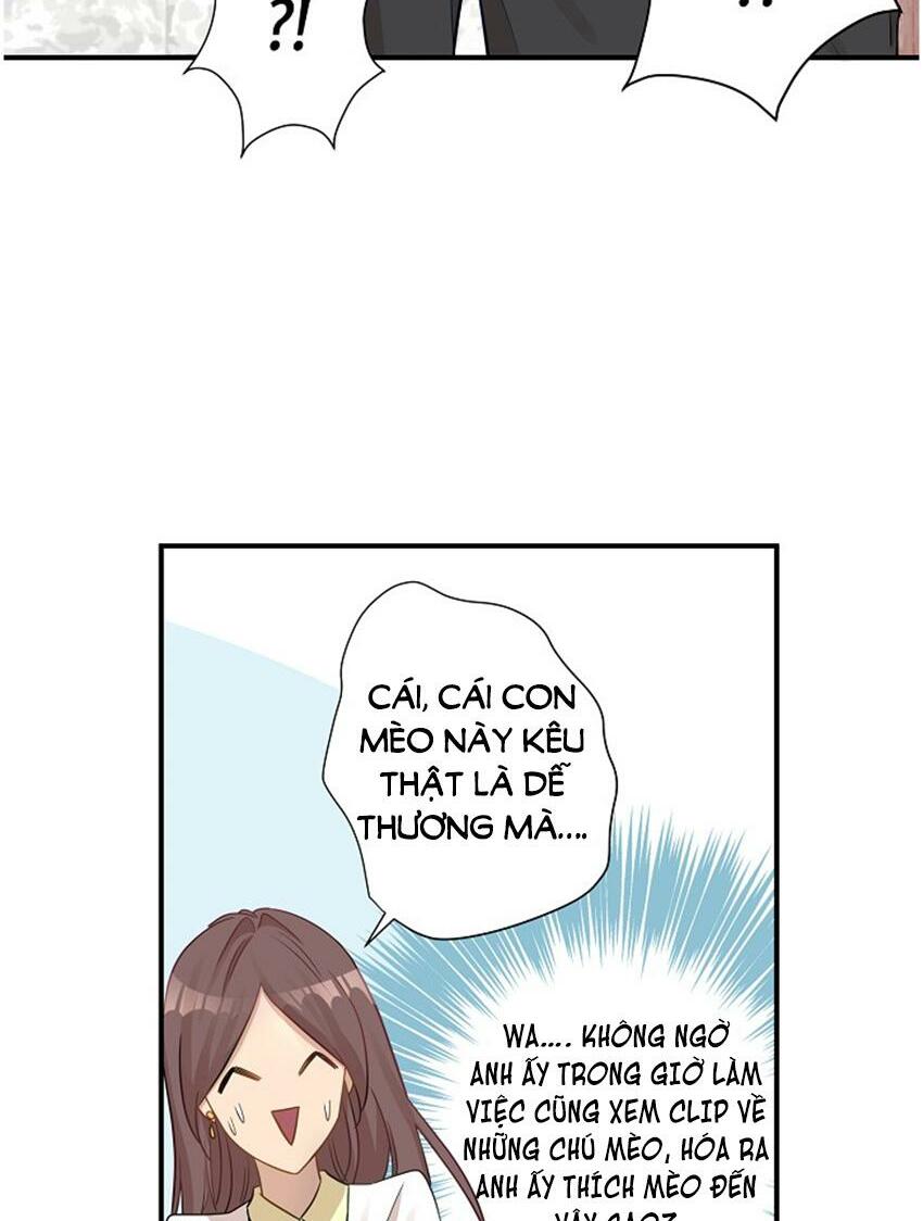 Cuộc sống kỳ thú: Chapter 17