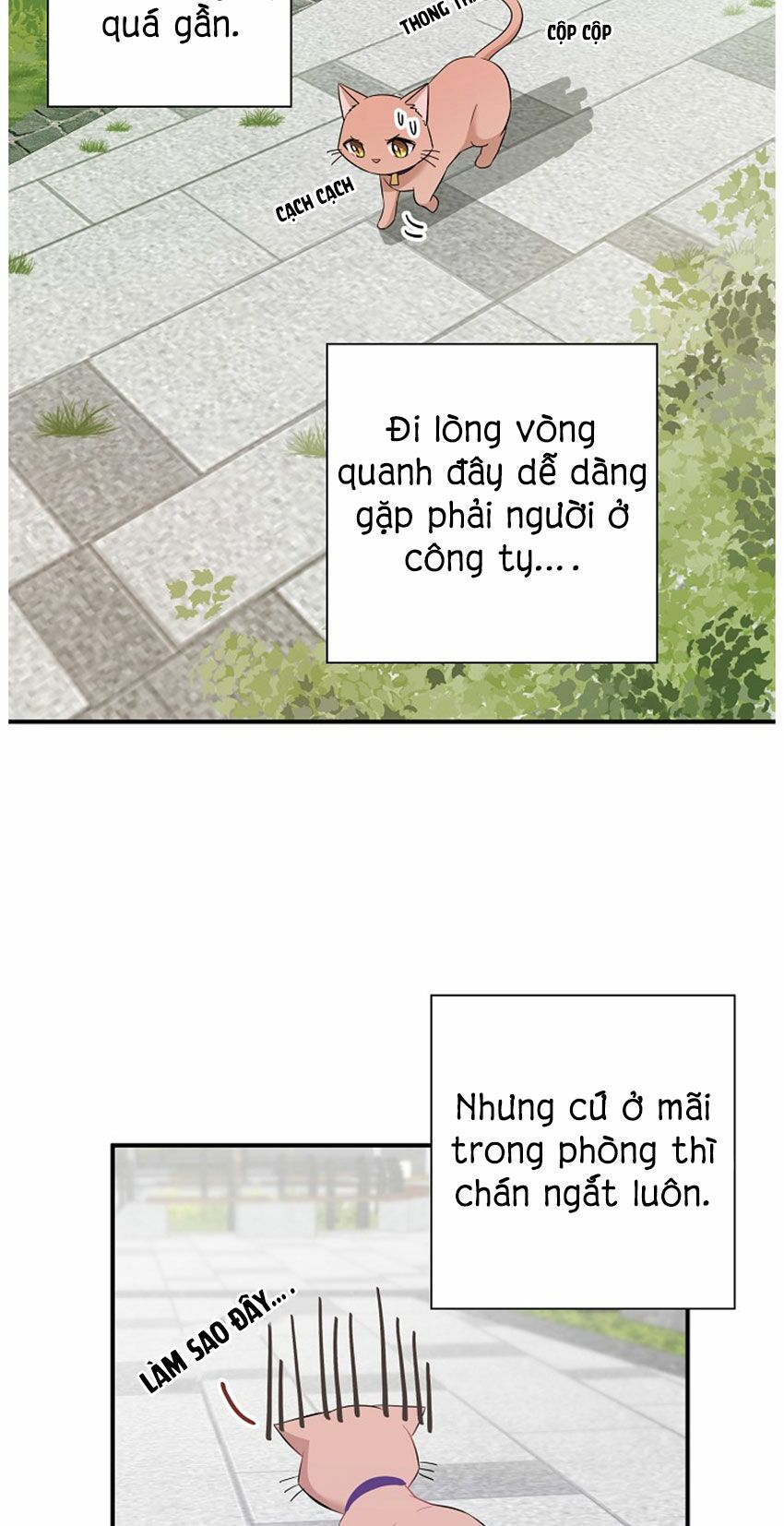 Cuộc sống kỳ thú: Chapter 21