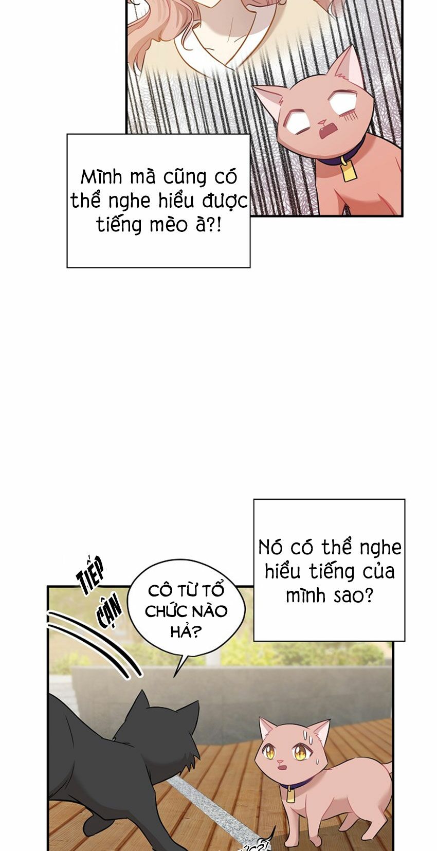 Cuộc sống kỳ thú: Chapter 21