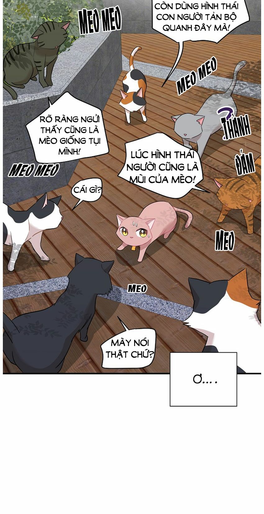 Cuộc sống kỳ thú: Chapter 21