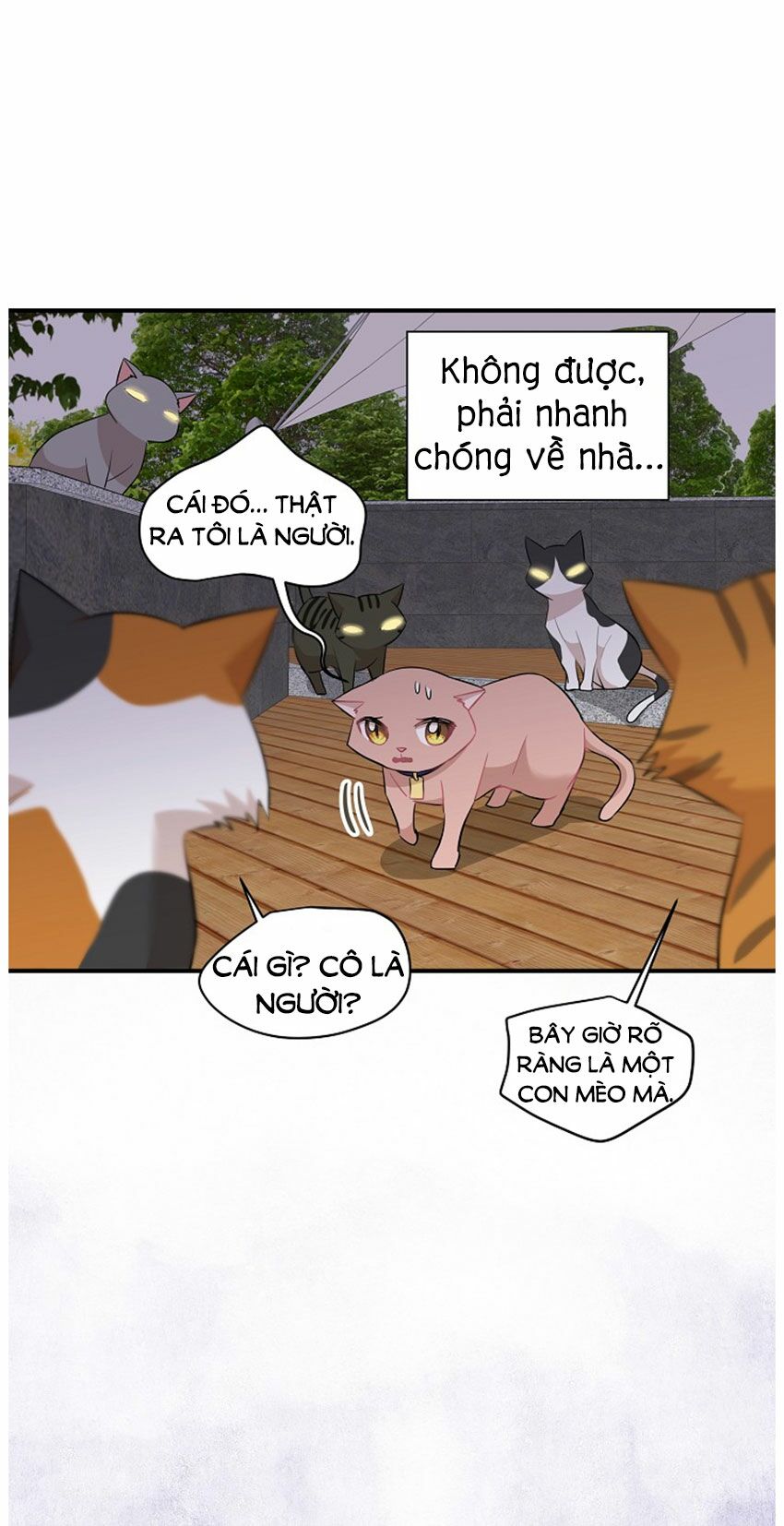 Cuộc sống kỳ thú: Chapter 21