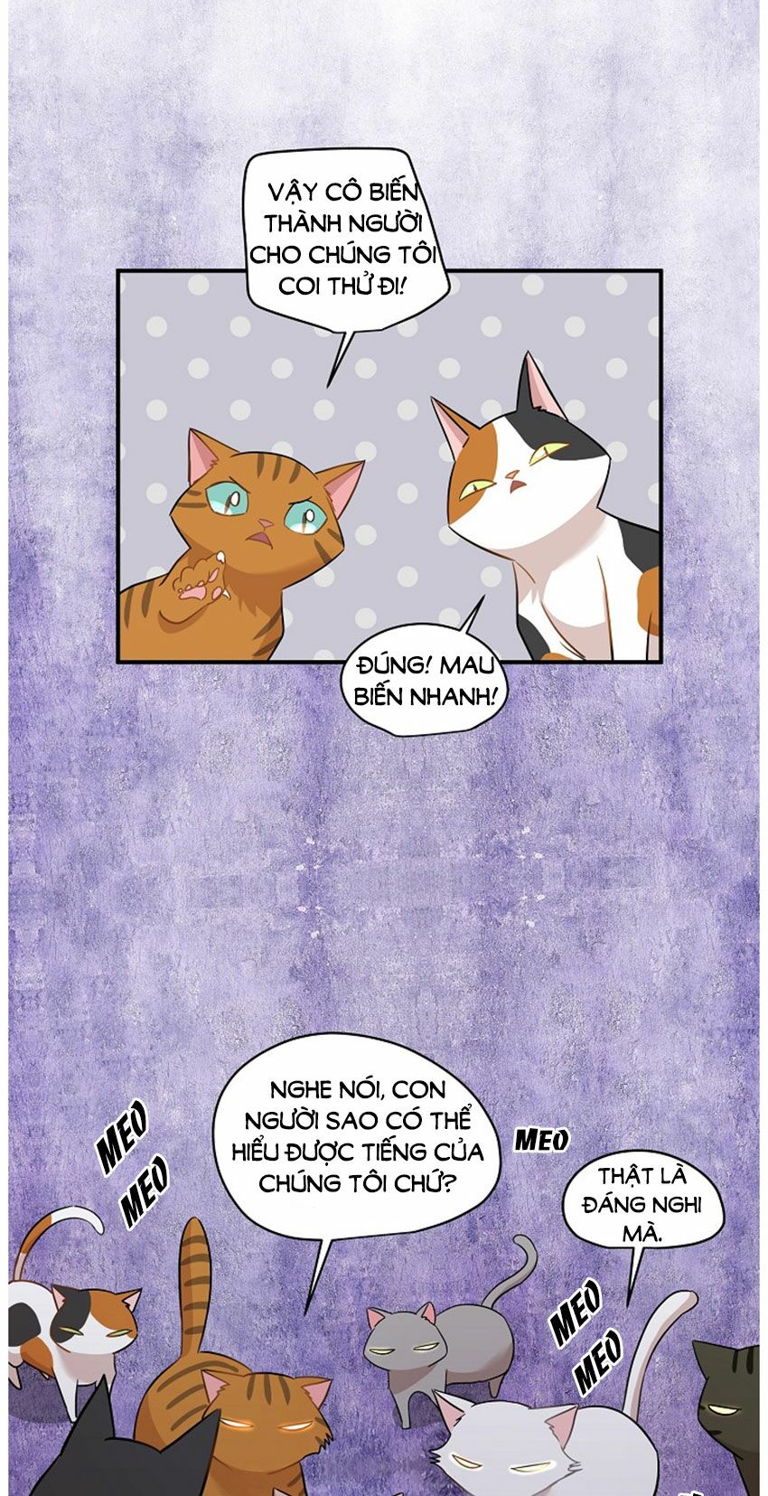 Cuộc sống kỳ thú: Chapter 21