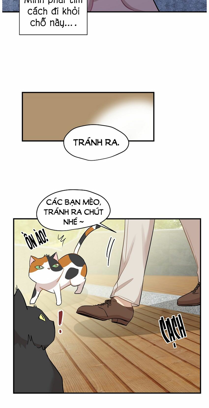 Cuộc sống kỳ thú: Chapter 21