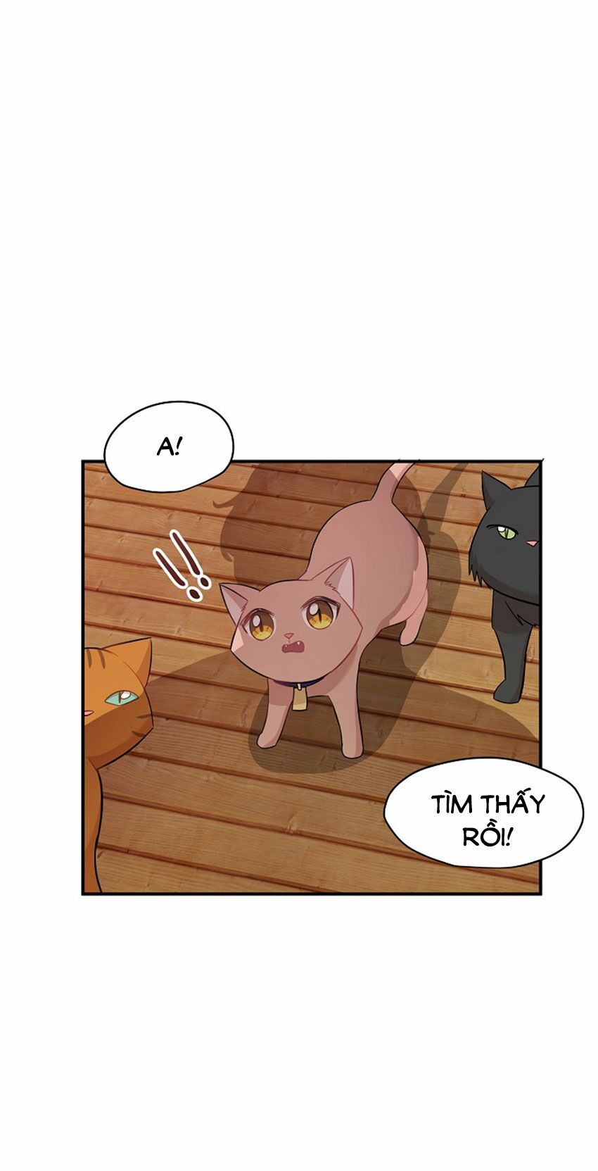 Cuộc sống kỳ thú: Chapter 21