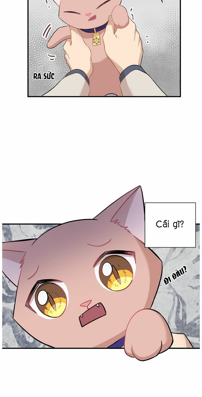 Cuộc sống kỳ thú: Chapter 21