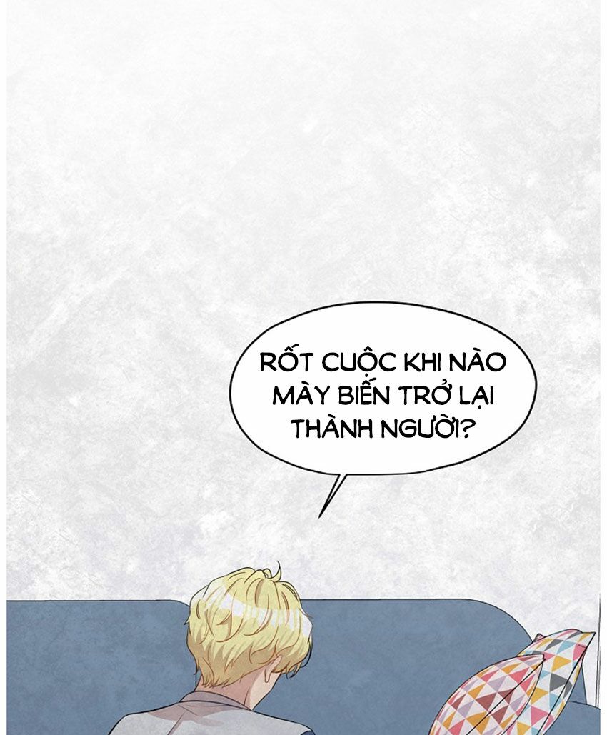 Cuộc sống kỳ thú: Chapter 21