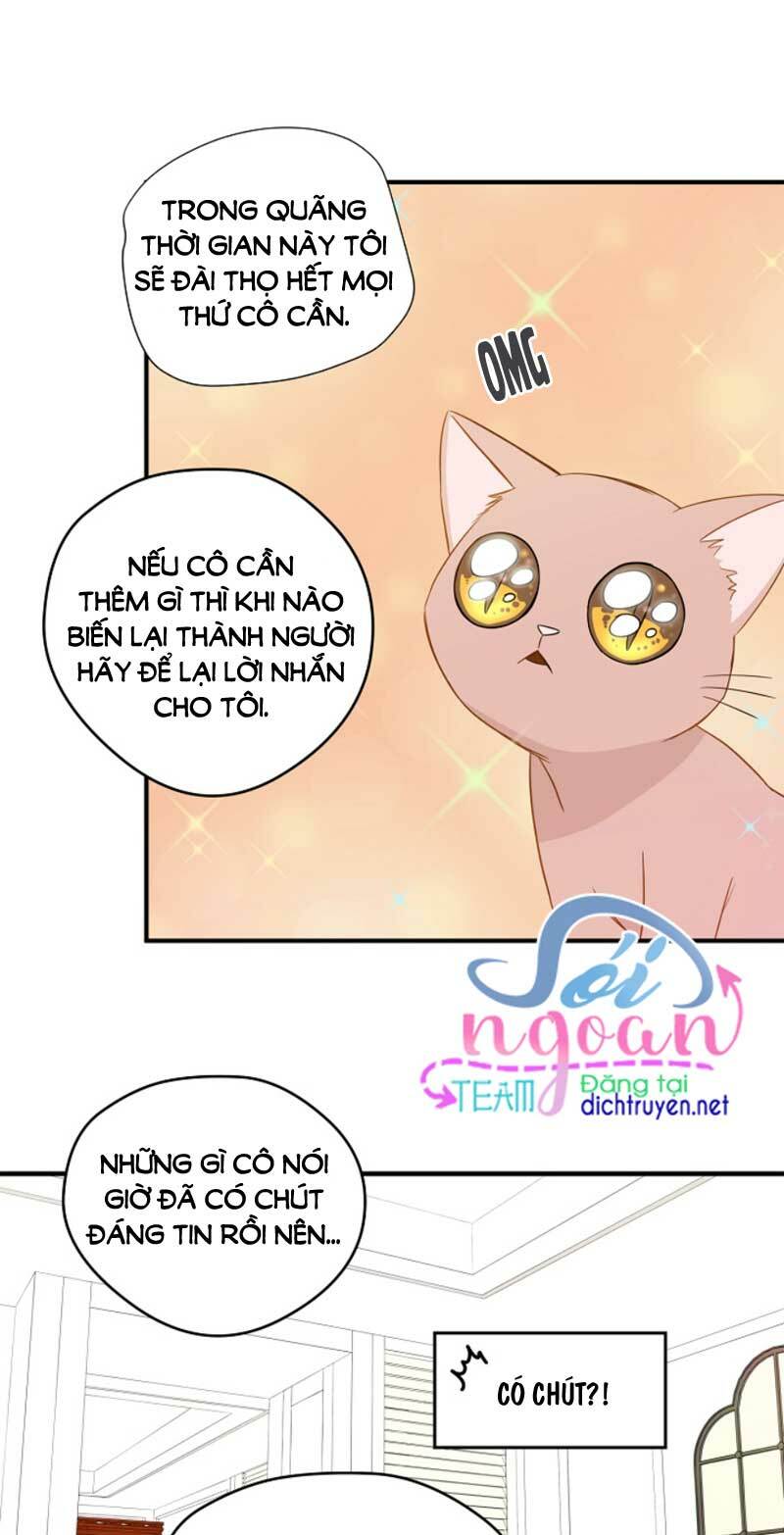Cuộc sống kỳ thú: Chapter 3