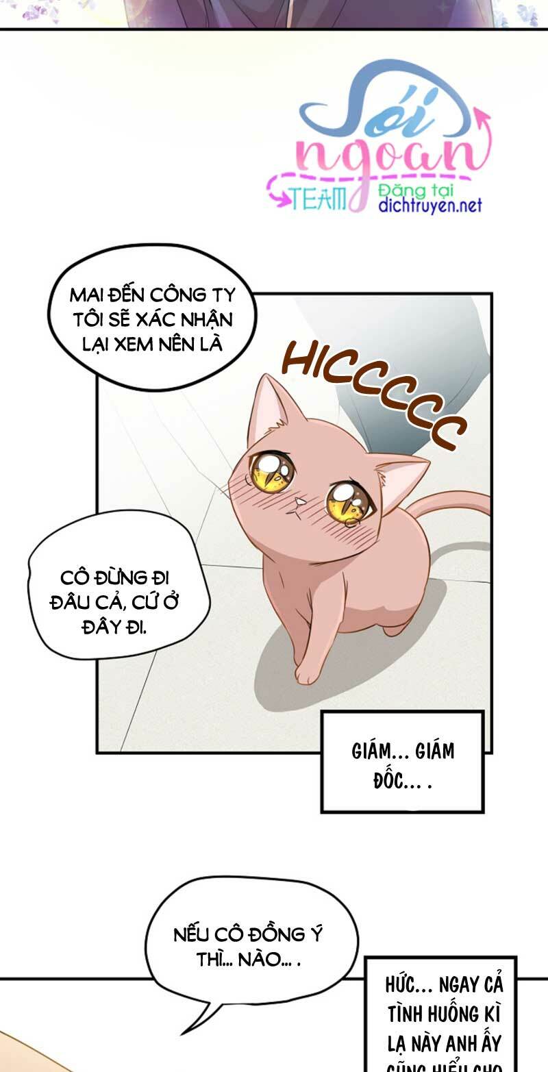 Cuộc sống kỳ thú: Chapter 3