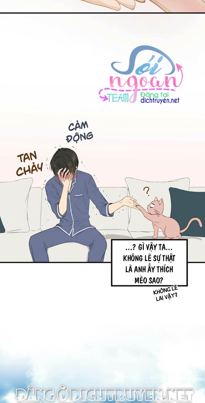Cuộc sống kỳ thú: Chapter 3