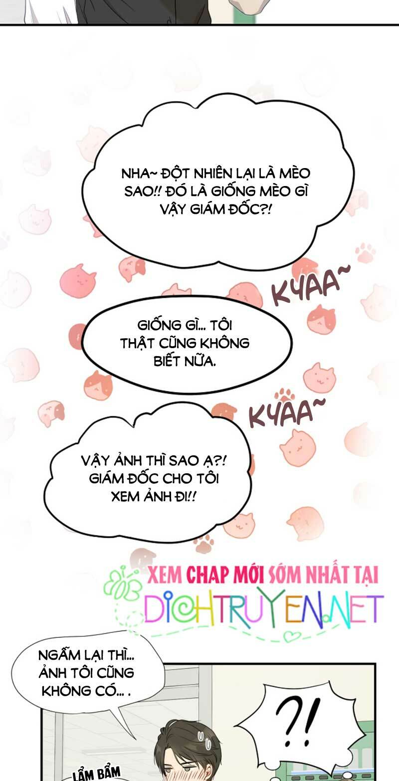 Cuộc sống kỳ thú: Chapter 3