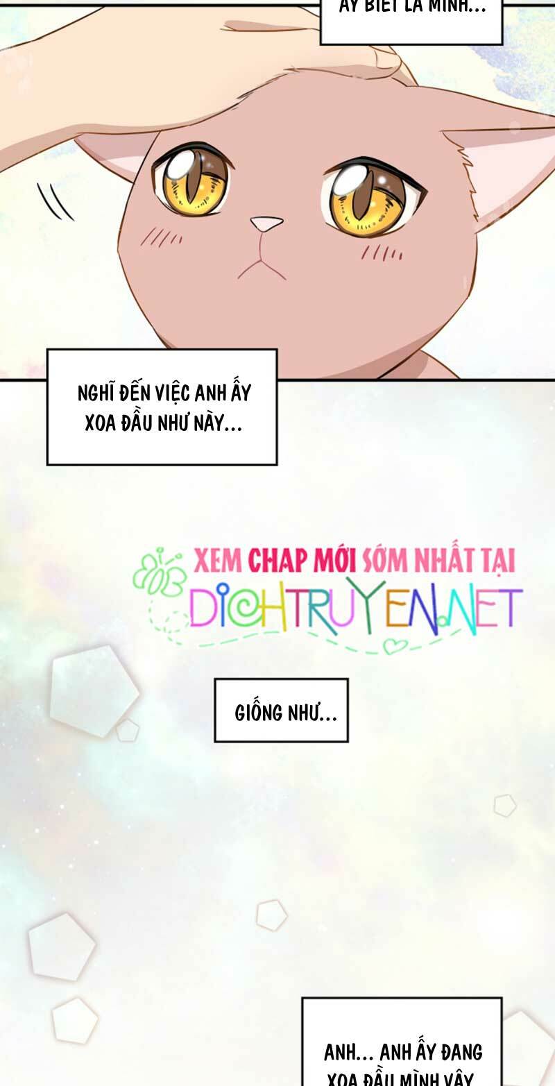 Cuộc sống kỳ thú: Chapter 3