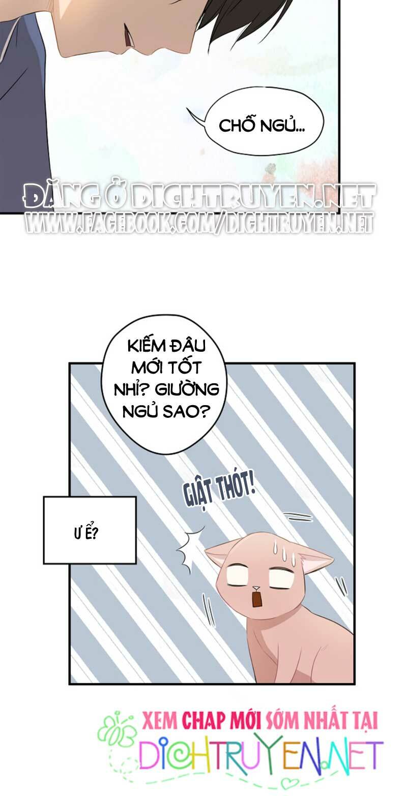 Cuộc sống kỳ thú: Chapter 3