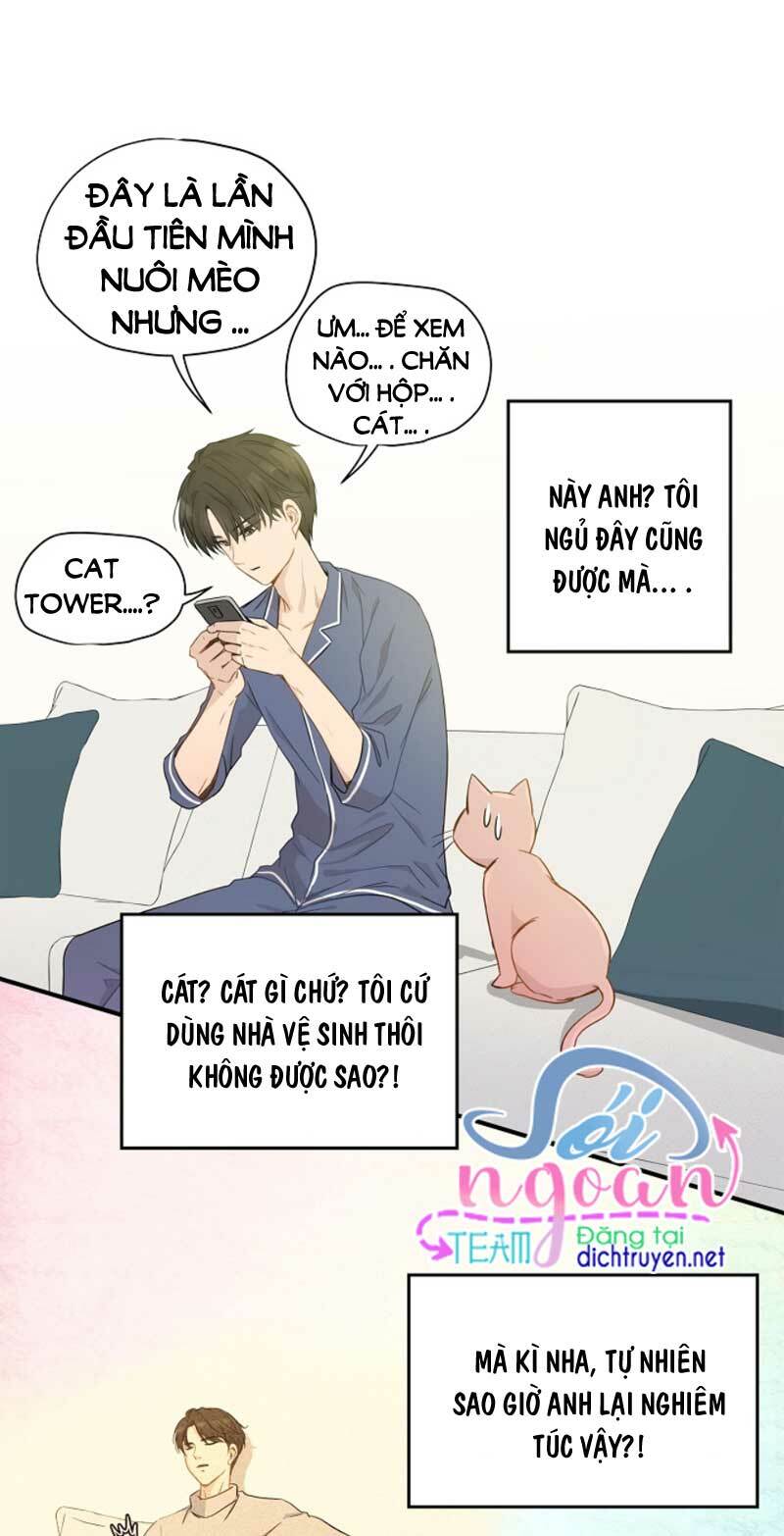 Cuộc sống kỳ thú: Chapter 3